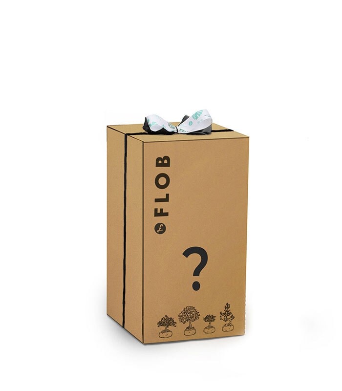 Stranger things Pack