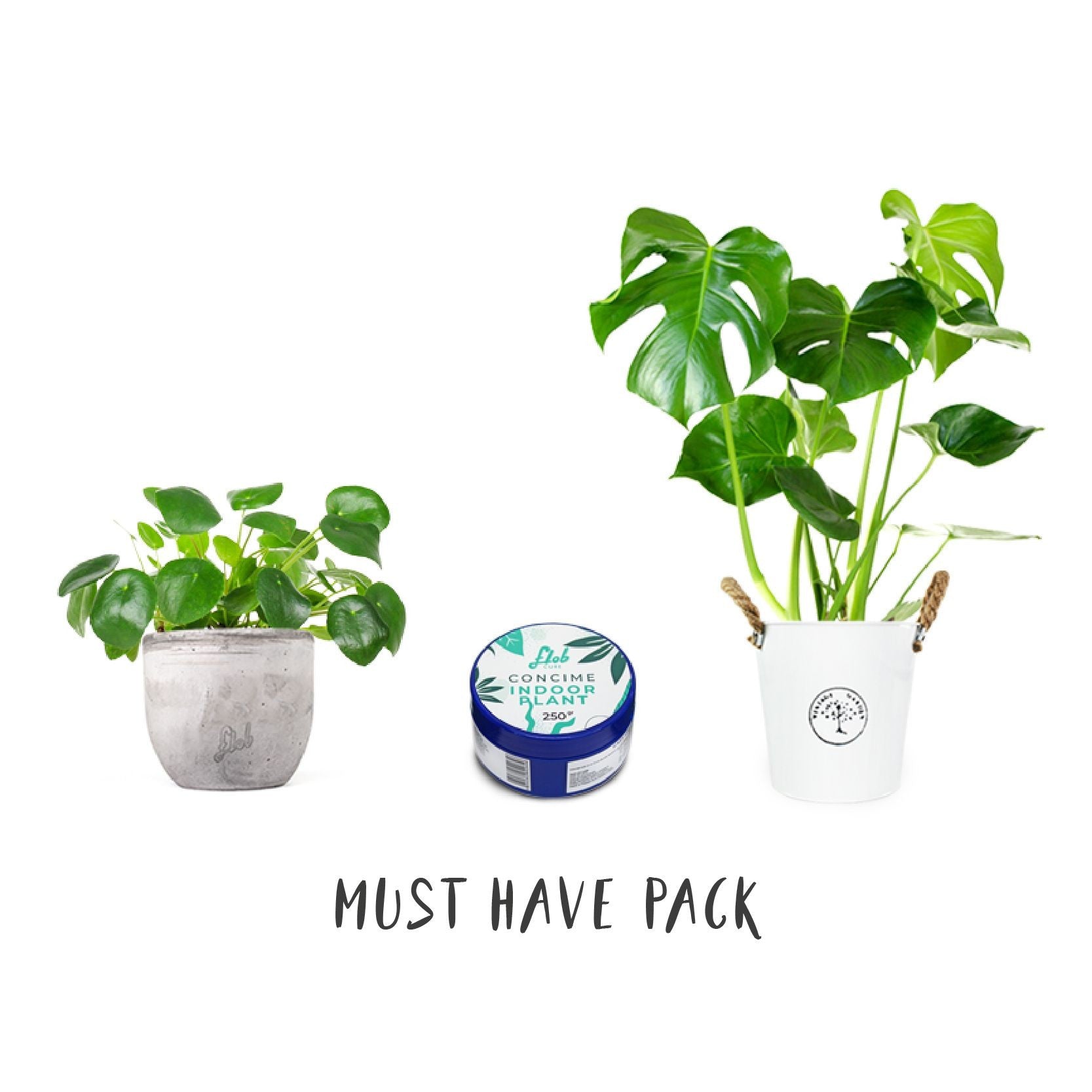 Must have Pack