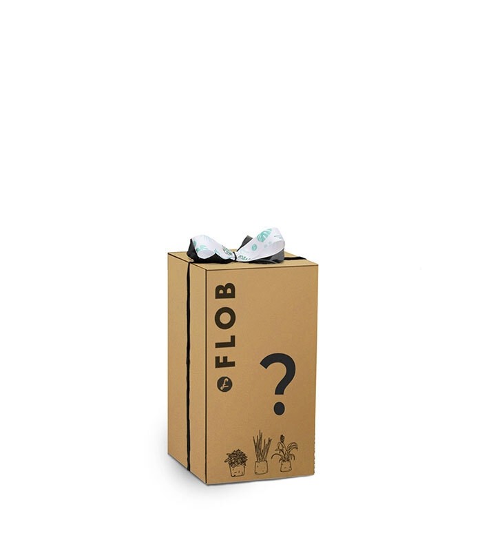 Office Pack
