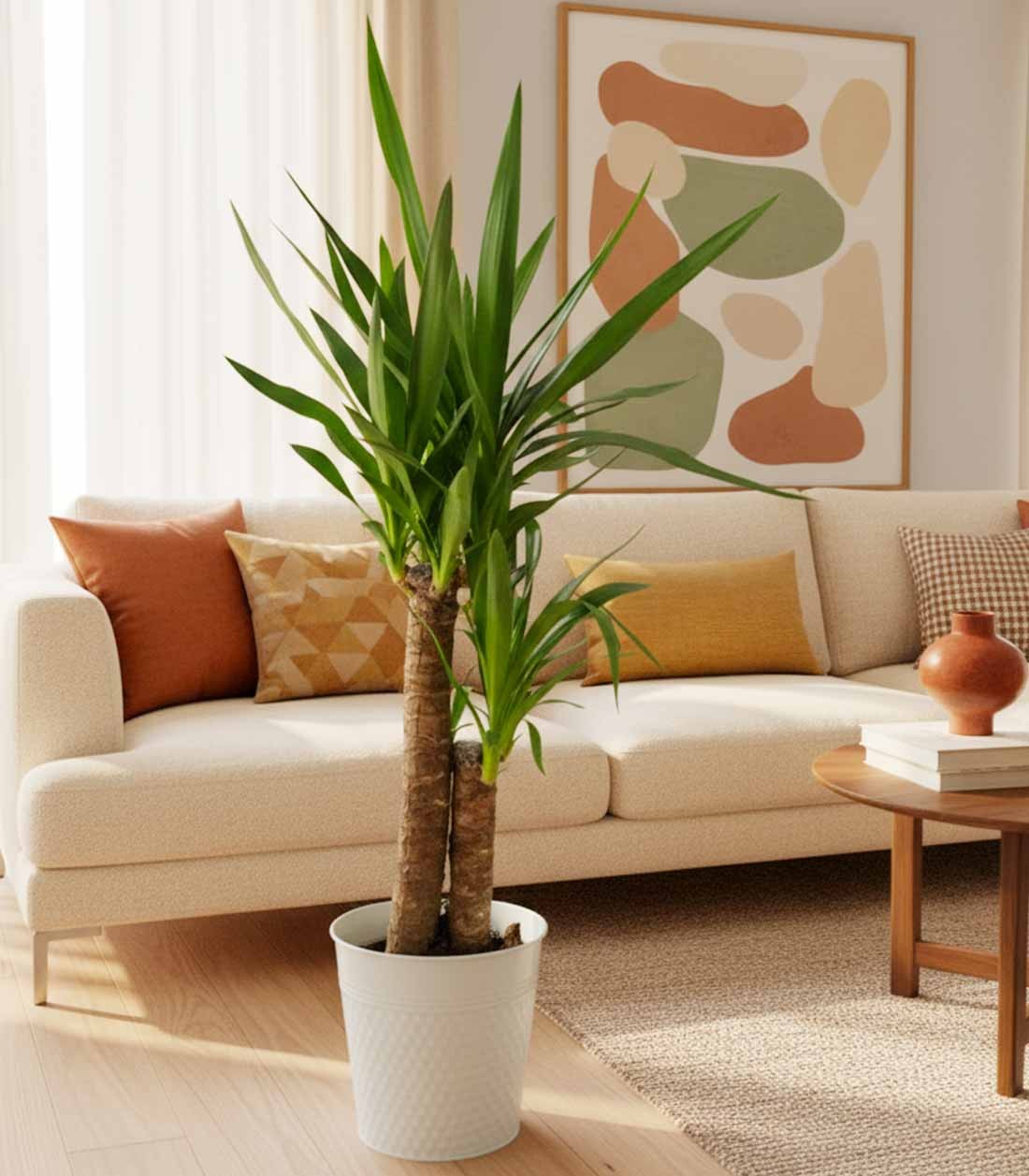 Pianta di Yucca da interno | 80 cm