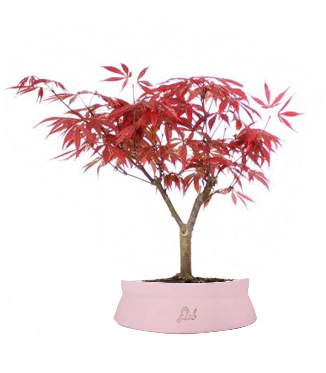 Acero Rosso