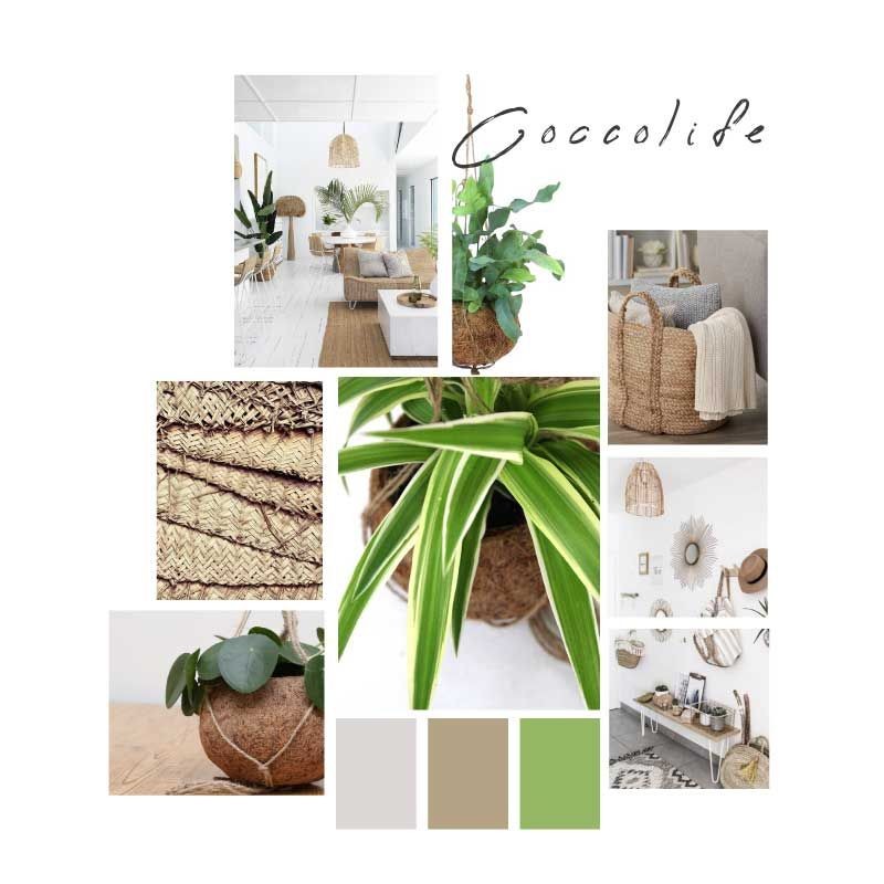Cocco Life Pack