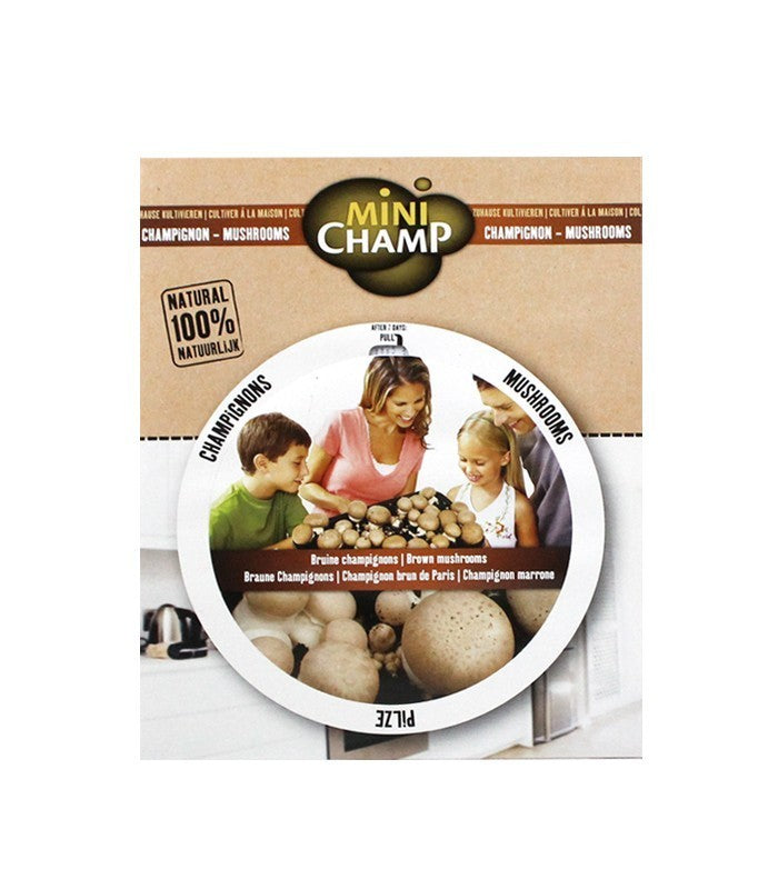 Kit fungo champignons marrone