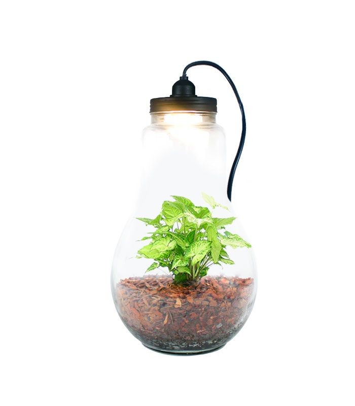 Lampada XL in vetro con Singonio