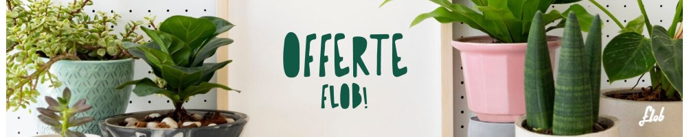 SCONTI  FLOB! Fino al 50% di sconto