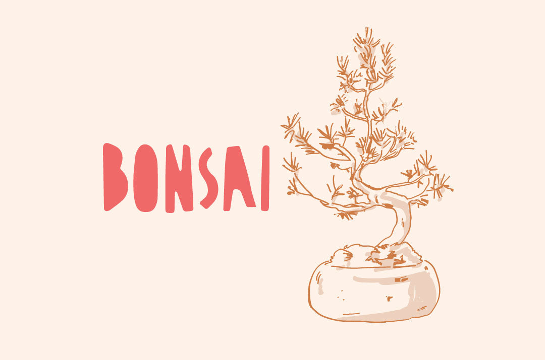 Illustrazione artistica e stilizzata di un piccolo bonsai in vaso, che rappresenta la natura in miniatura con cura dei dettagli di rami e foglie.