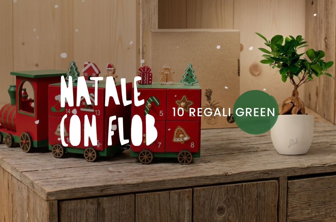 trenino natalizio sopra a un mobile e vicino una pianta Flob come idea regalo