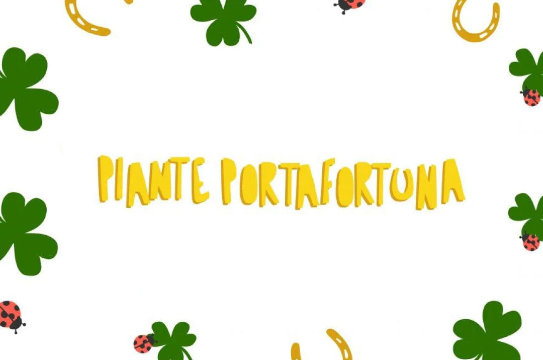 Piante della buona sorte e del buon auspicio, una collezione di sette varietà ornamentali perfette come regalo per la casa nuova o l'ufficio.