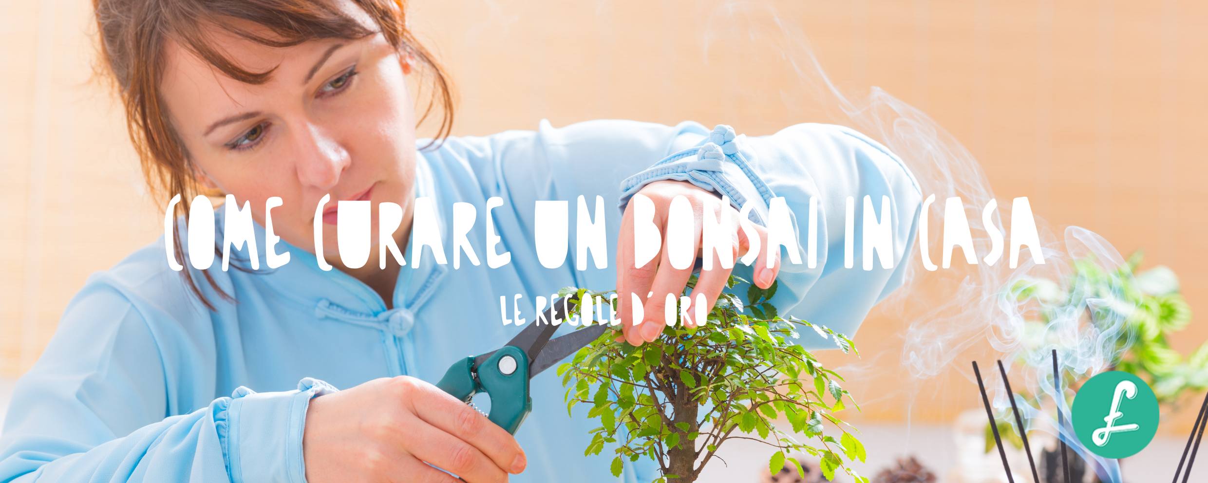 donna che cura un bonsai, potando le foglie