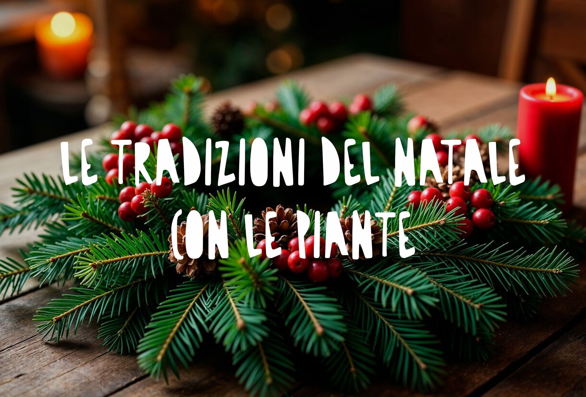 Le Tradizioni del Natale con Agrifoglio e Vischio: Simboli, Significato e Idee Green per Decorazioni e Regali