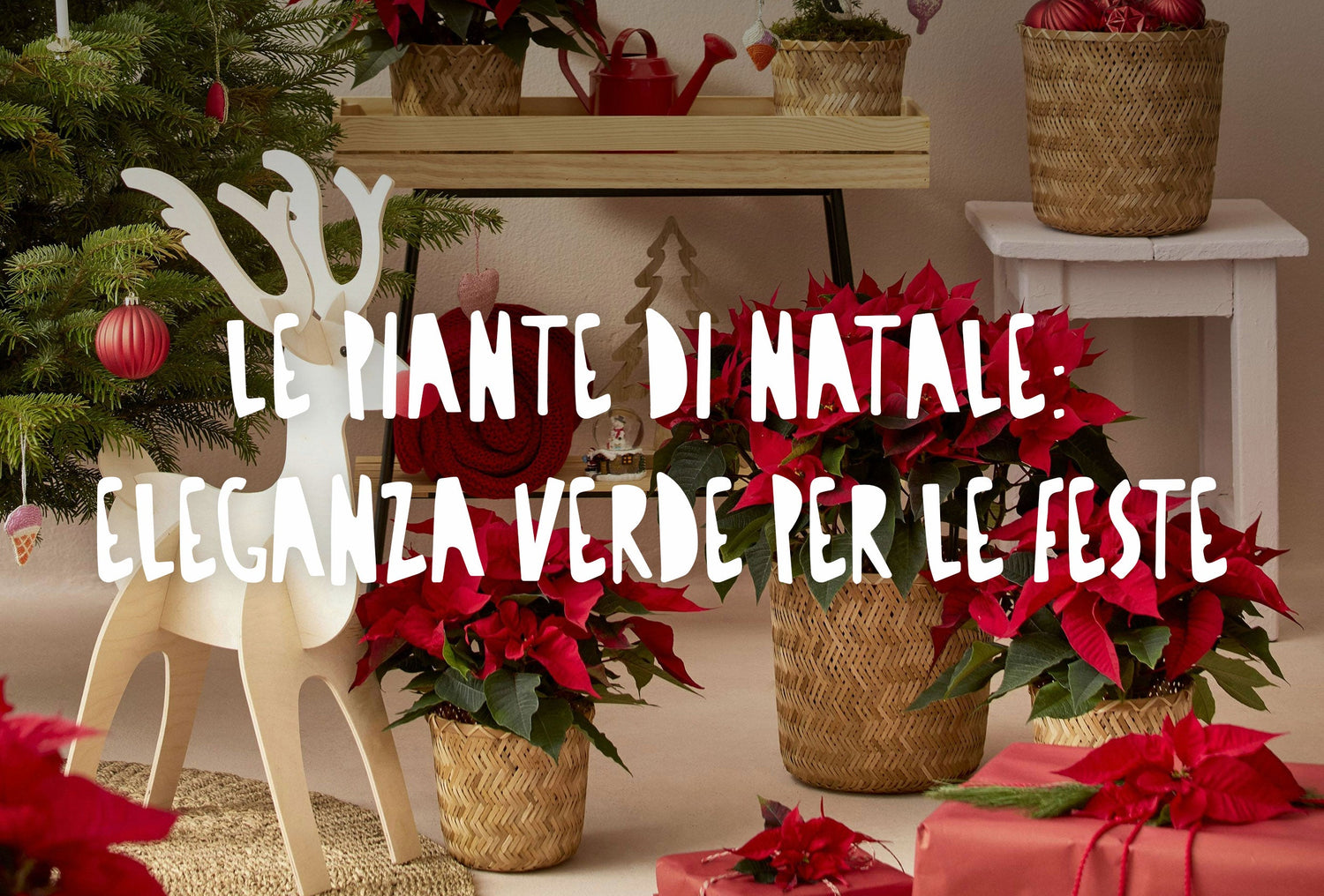 Casa decorata con elementi natalizi e stelle di natale