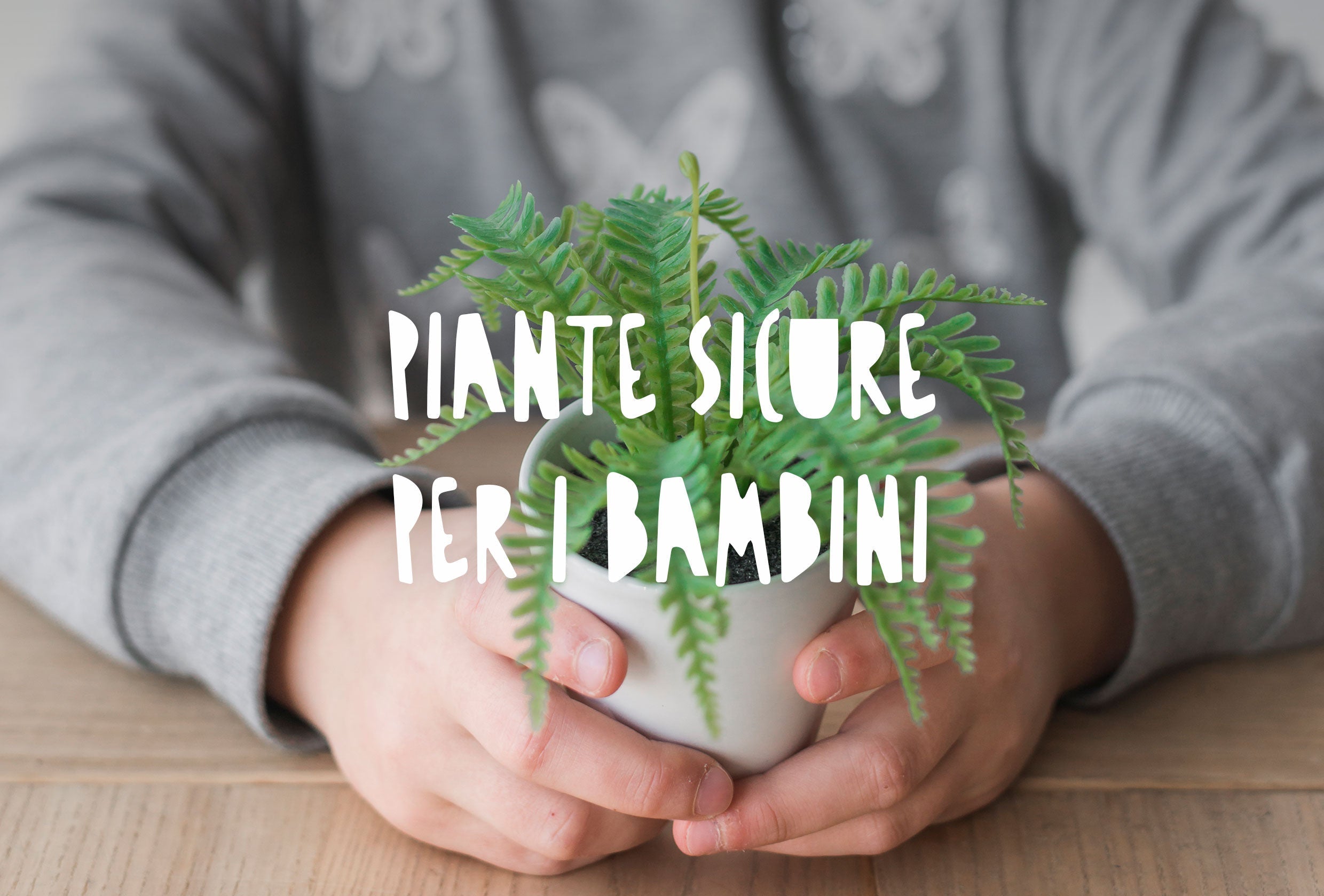 un bambino che tiene in mano una pianta in vaso, sicura per lui