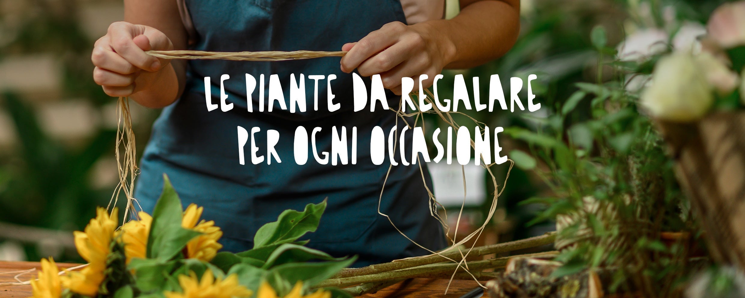 Dettaglio della preparazione di una confezione regalo botanica con fiori e piante decorative, un dono perfetto e personalizzato per compleanni o inaugurazioni.