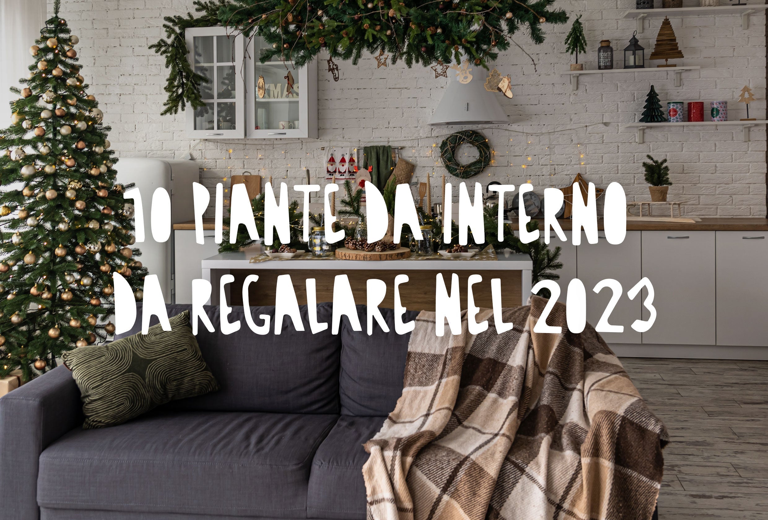un salotto addobbato a Natale con piante da interno e decorazioni natalizie