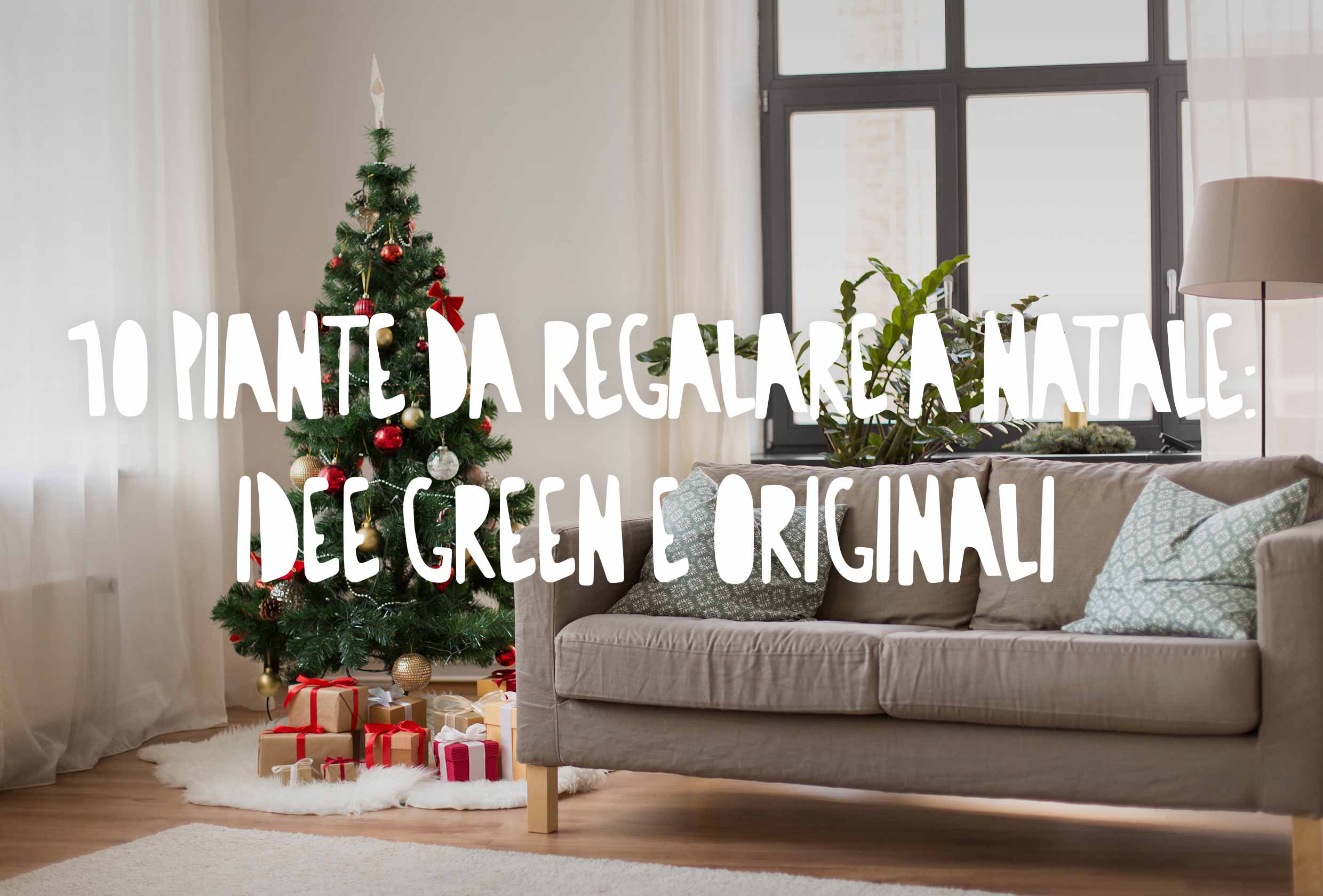 salotto addobbato a natale con pacchi regalo e piante