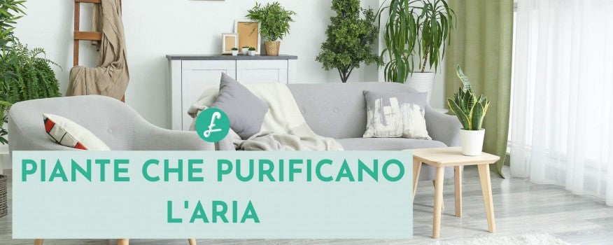 Un salotto d'appartamento luminoso e moderno arricchito da diverse piante d'interno note per la loro capacità di purificare l'aria e migliorare il benessere domestico.
