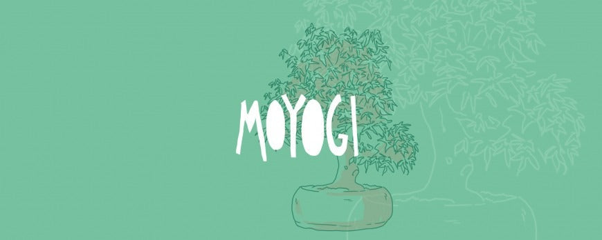 Illustrazione grafica di un bonsai in stile Moyogi o eretto informale