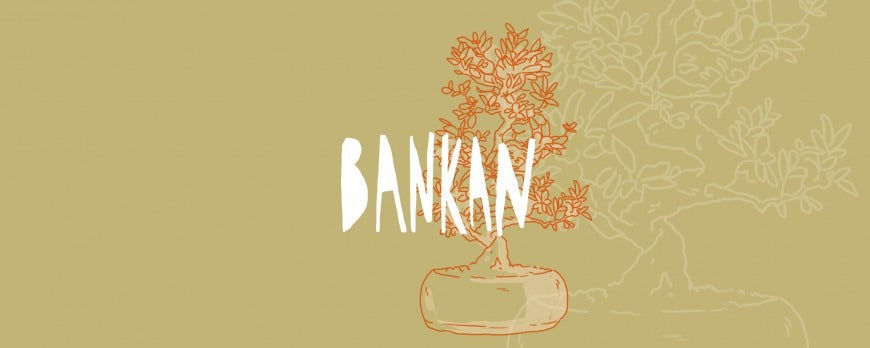 Illustrazione grafica di un bonsai in stile Bankan