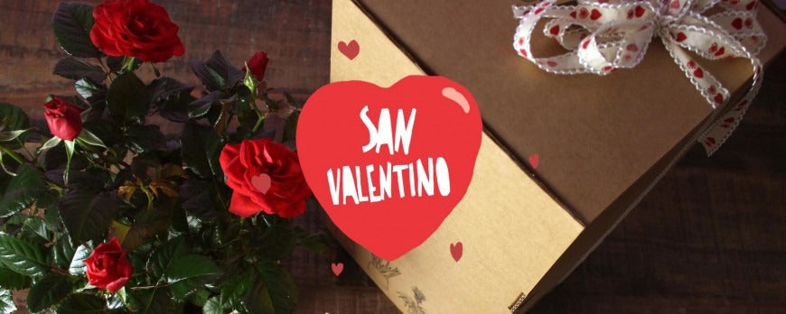 composizione con pianta di rosa e confezione regalo Flob per San Valentino.