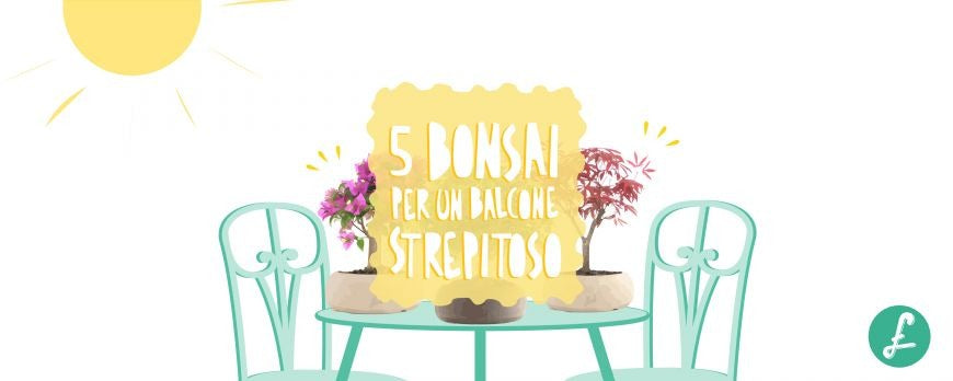 Bonsai da esterno per il balcone, un'alternativa originale e scenografica alle classiche piante fiorite, facili da curare anche senza pollice verde.