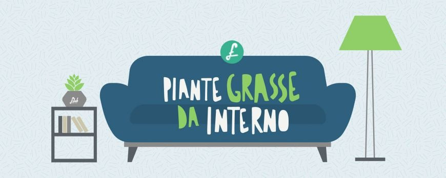 Piante grasse da interno: le fantastiche cinque