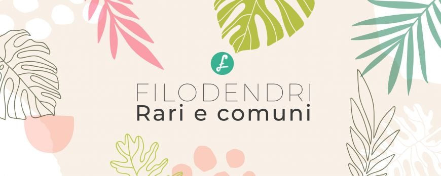 Illustrazione di Filodendri rari e comuni da appartamento