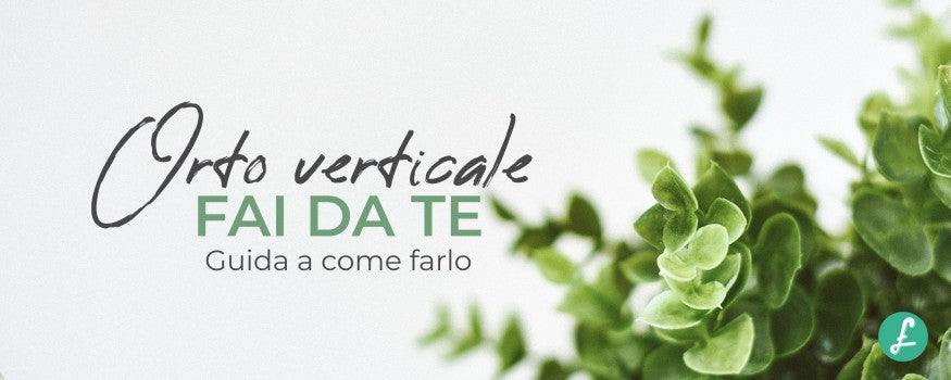 orto verticale fai da te con diverse varietà di piante