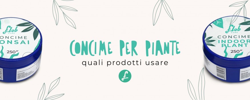 Concime per piante: Quali fertilizzanti e prodotti utilizzare