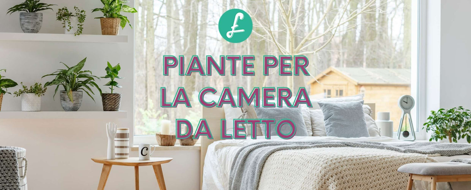 Una camera da letto luminosa e accogliente con piante da interno posizionate sul comodino e vicino alla finestra, disposte per creare un ambiente rilassante che migliora la qualità del sonno.