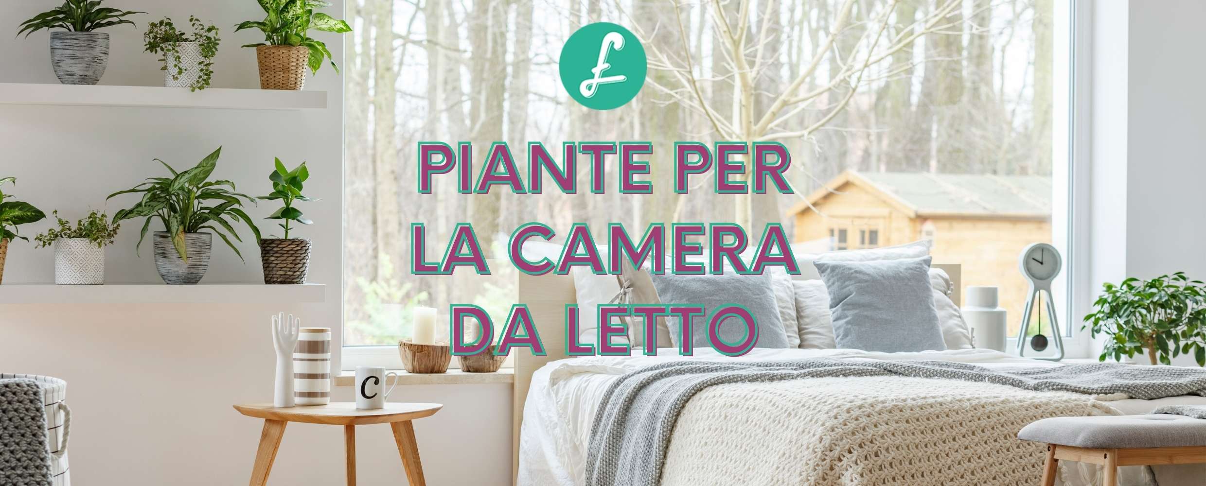 Una camera da letto luminosa e accogliente con piante da interno posizionate sul comodino e vicino alla finestra, disposte per creare un ambiente rilassante che migliora la qualità del sonno.