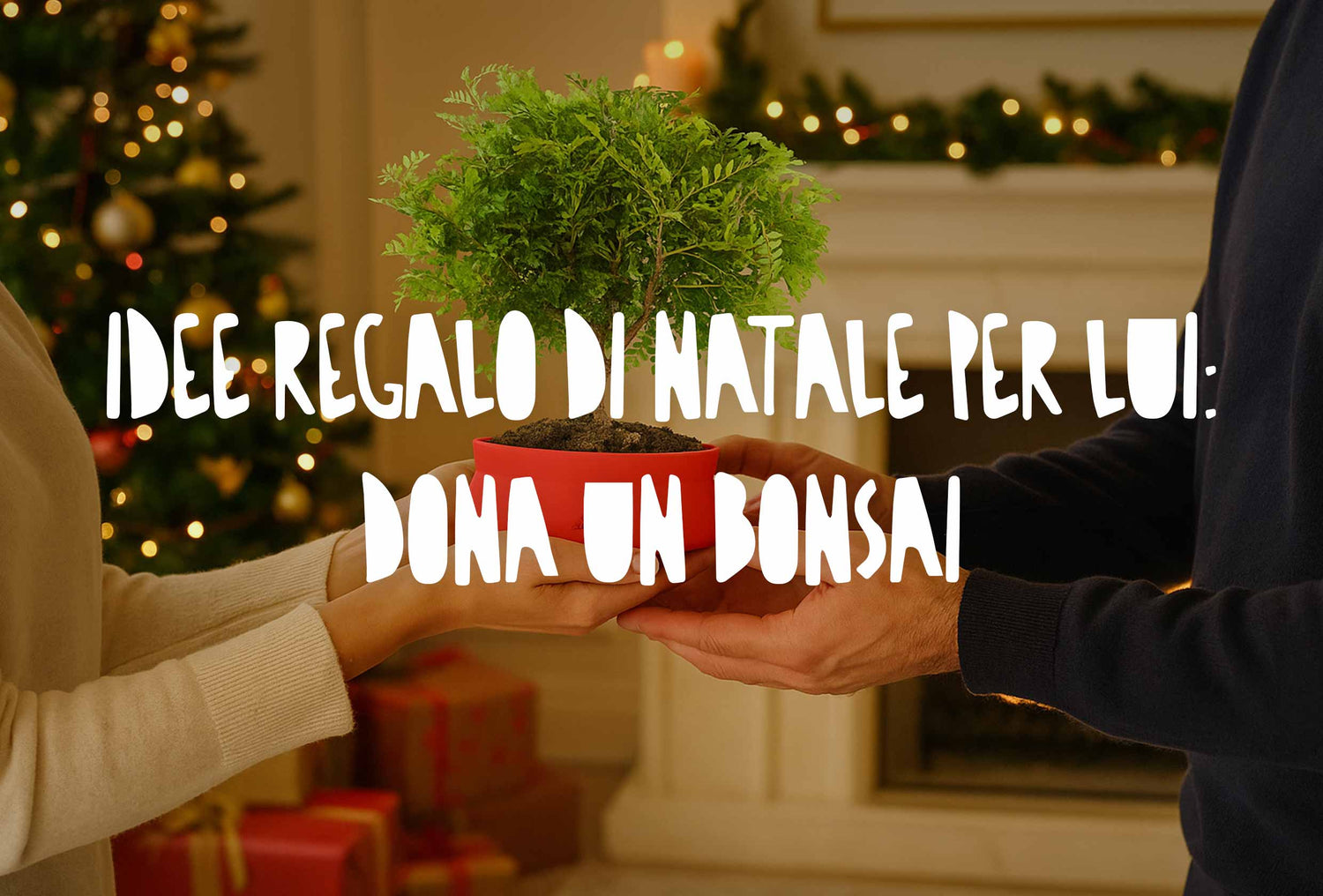 bonsai da interno confezionato come originale idea regalo di Natale per lui, un pensiero green e duraturo che unisce design, cura della natura e stile.