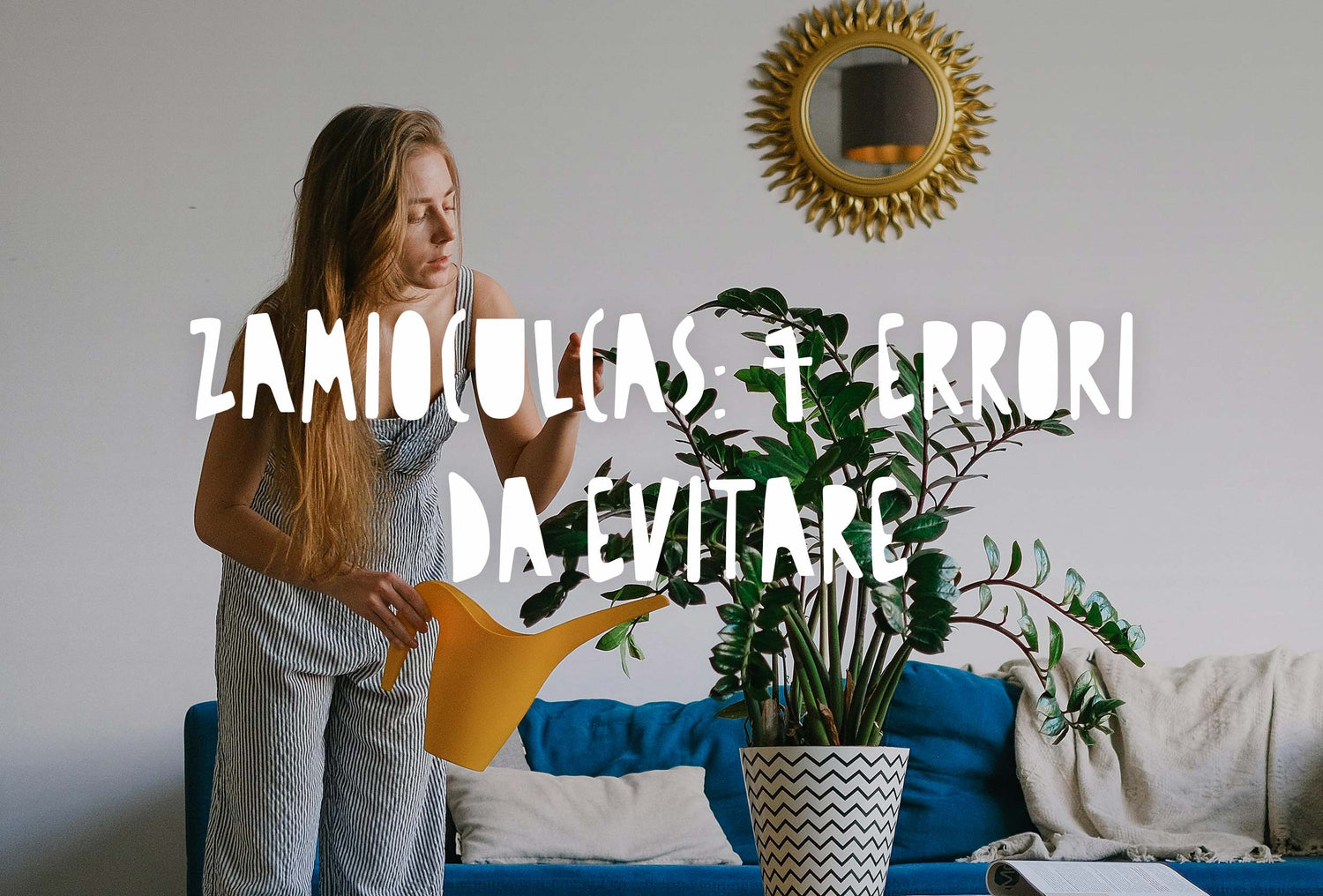 ragazza che annaffia una pianta di zamia zamioculcas in vaso