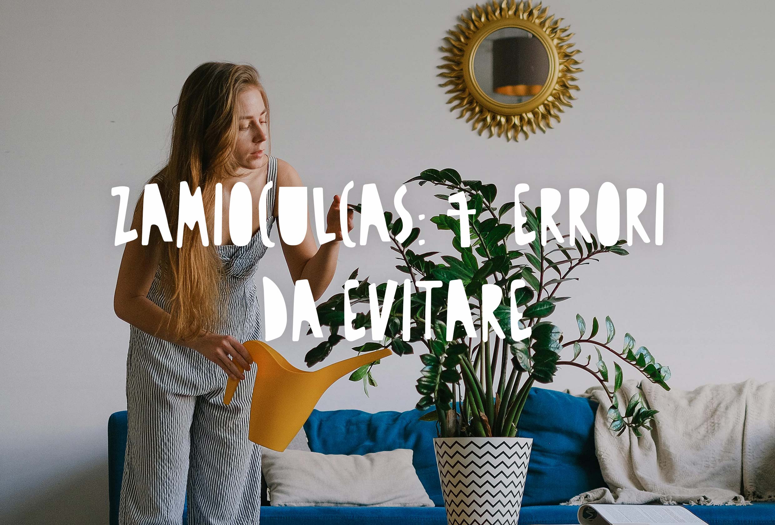 ragazza che annaffia una pianta di zamia zamioculcas in vaso
