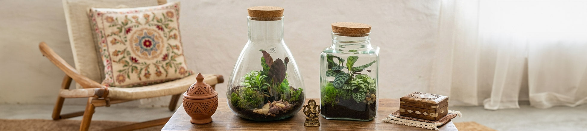 Piante in vaso di vetro