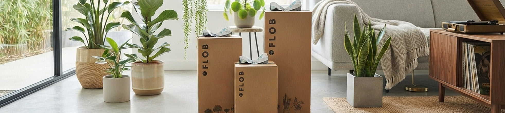 Mistery Box Jungle
