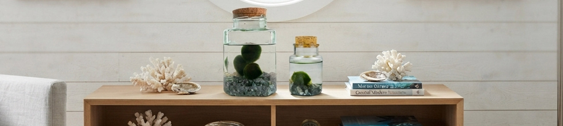 Piante Acquatiche