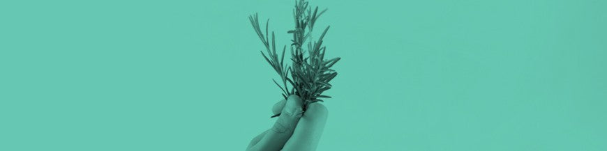 GREEN FOOD