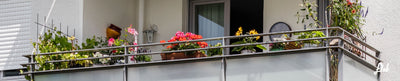 Piante da balcone