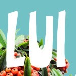 PER LUI
