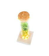 Singonio in vetro con led