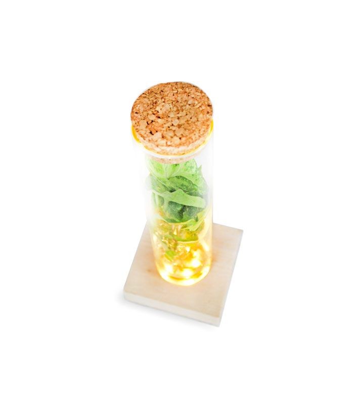 Singonio in vetro con led