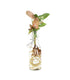 Singonio rosa idroponica in bottiglia