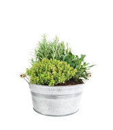 Tris rosmarino, timo limone e salvia
