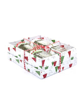 Vasi natalizi in scatola regalo