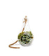 Lampadina con tradescantia