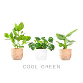 Cool Green Pack