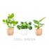 Cool Green Pack
