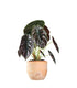 Alocasia Red Secret
