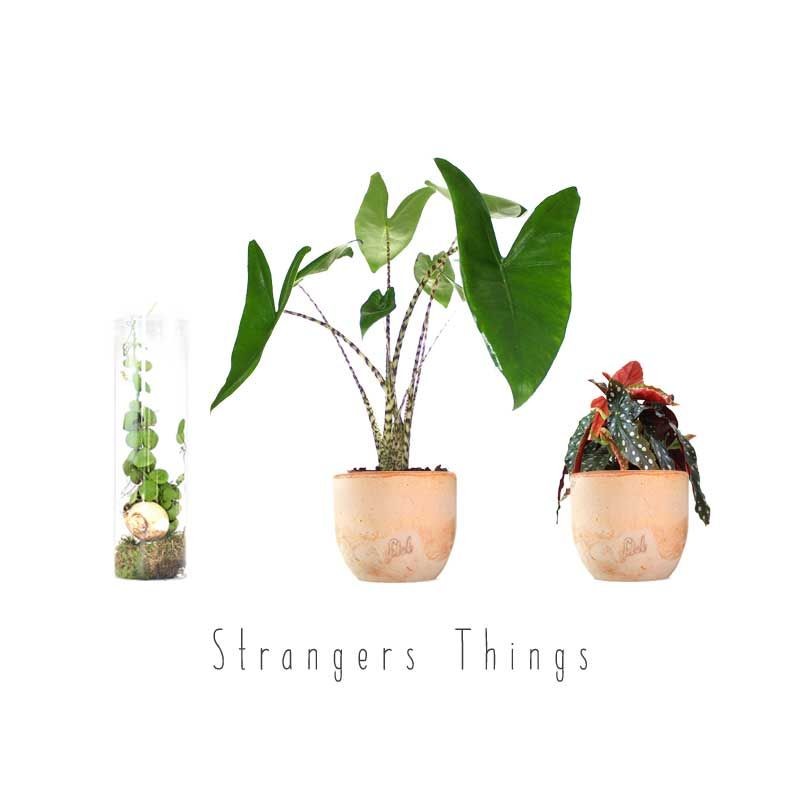 Stranger things Pack