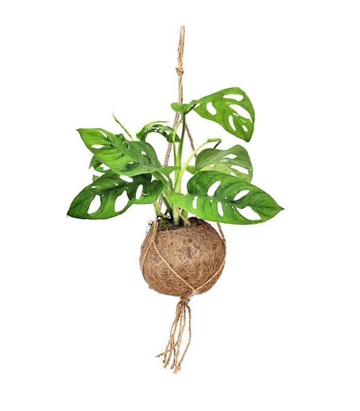Monkey Mask in fibra di cocco